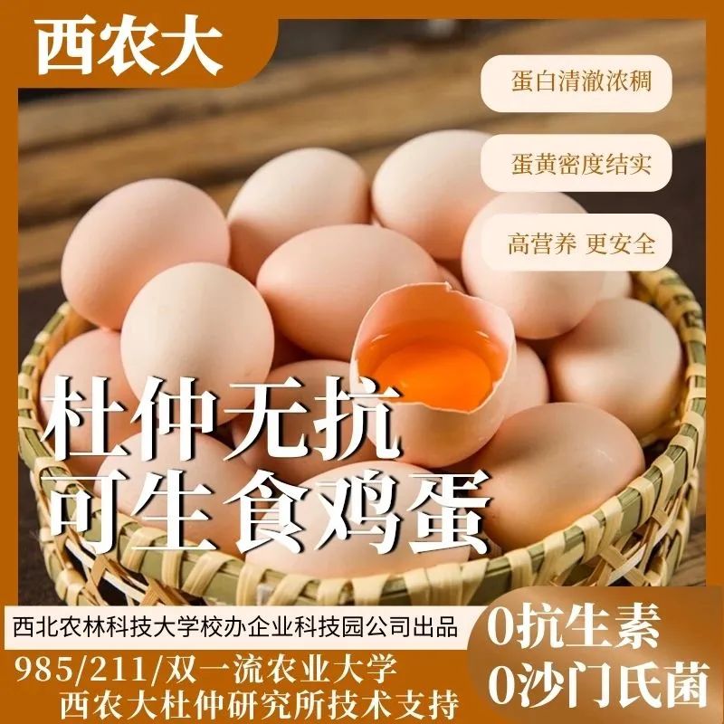 西農大杜仲雞蛋